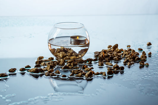 Ist Kaffee wirklich dehydrierend? Die Wahrheit über Kaffee & Wasserhaushalt