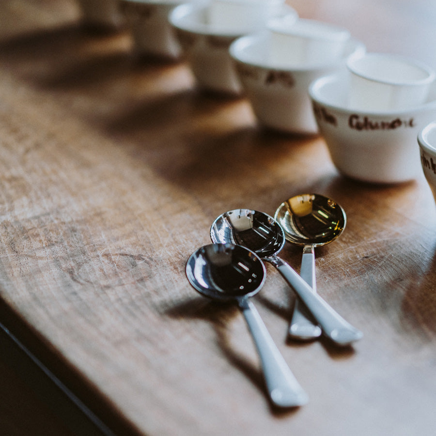 Brewista - Professional Cupping Spoon - Gold
