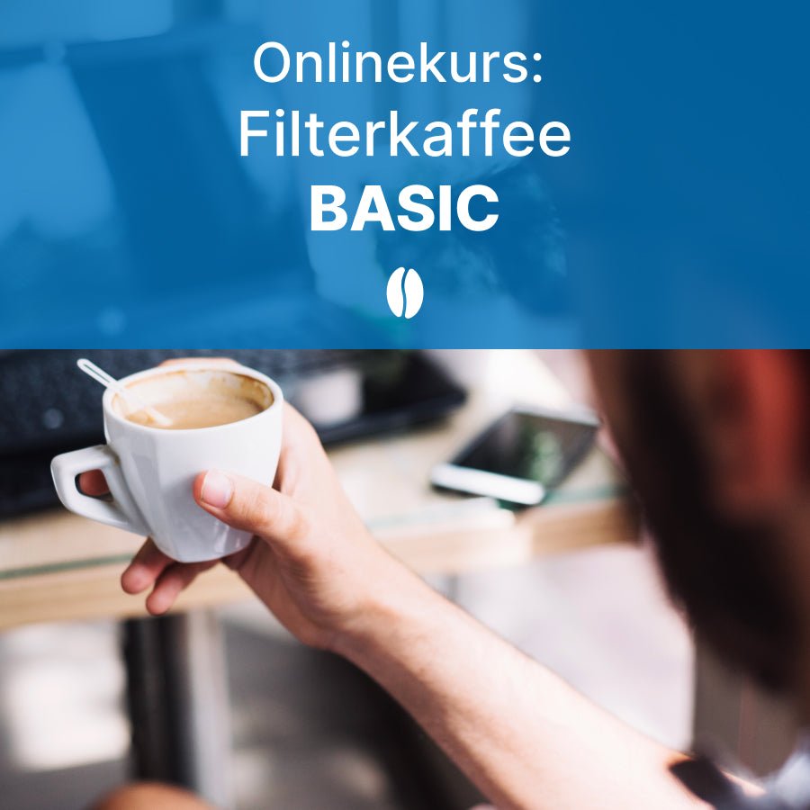 Filterkaffee Basics – Online-Kurs für Einsteiger (inkl. Kurskaffee)